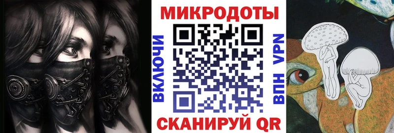 Псилоцибиновые грибы Psilocybe Бийск